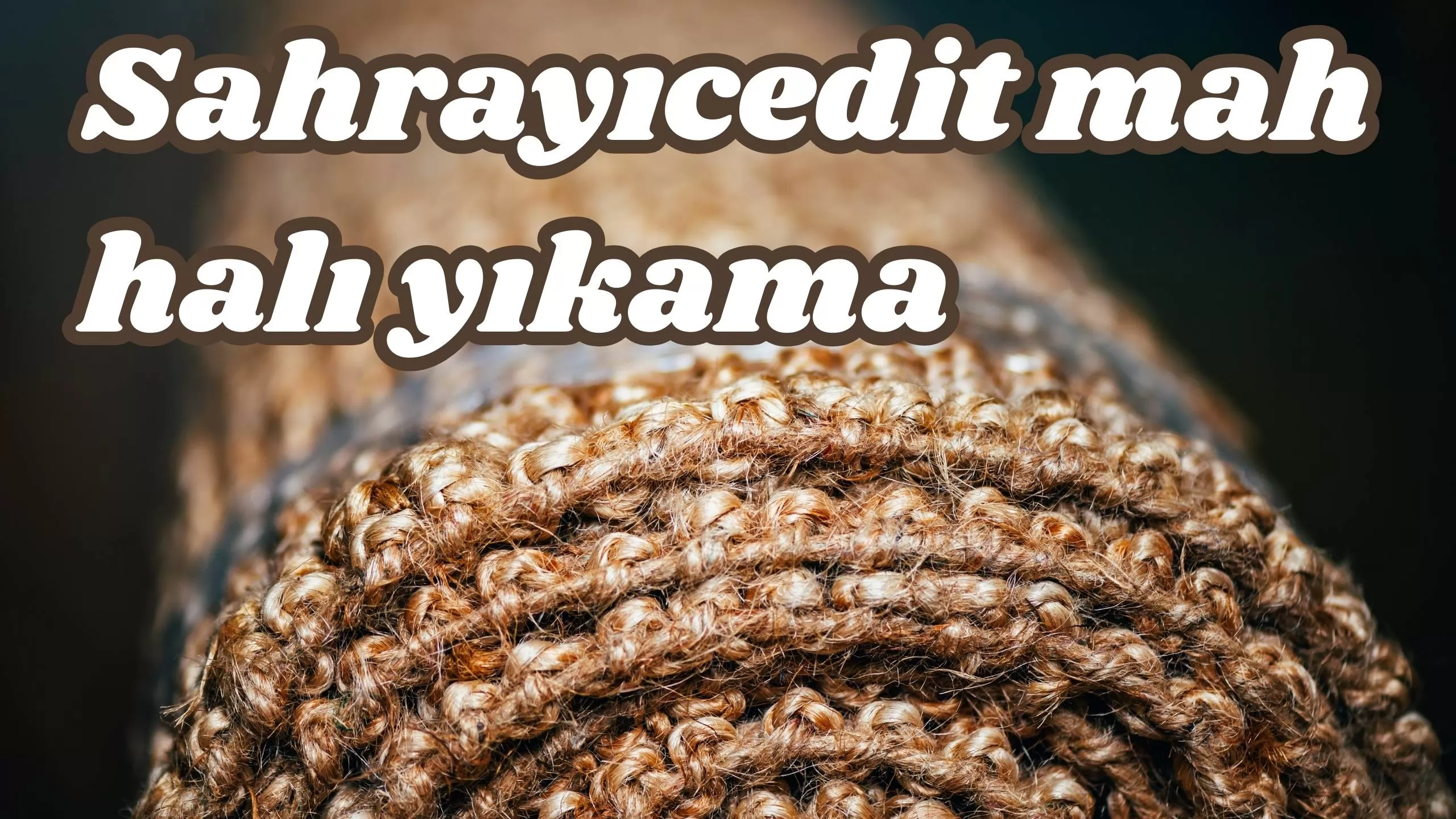 Sahrayıcedit mah halı yıkama 