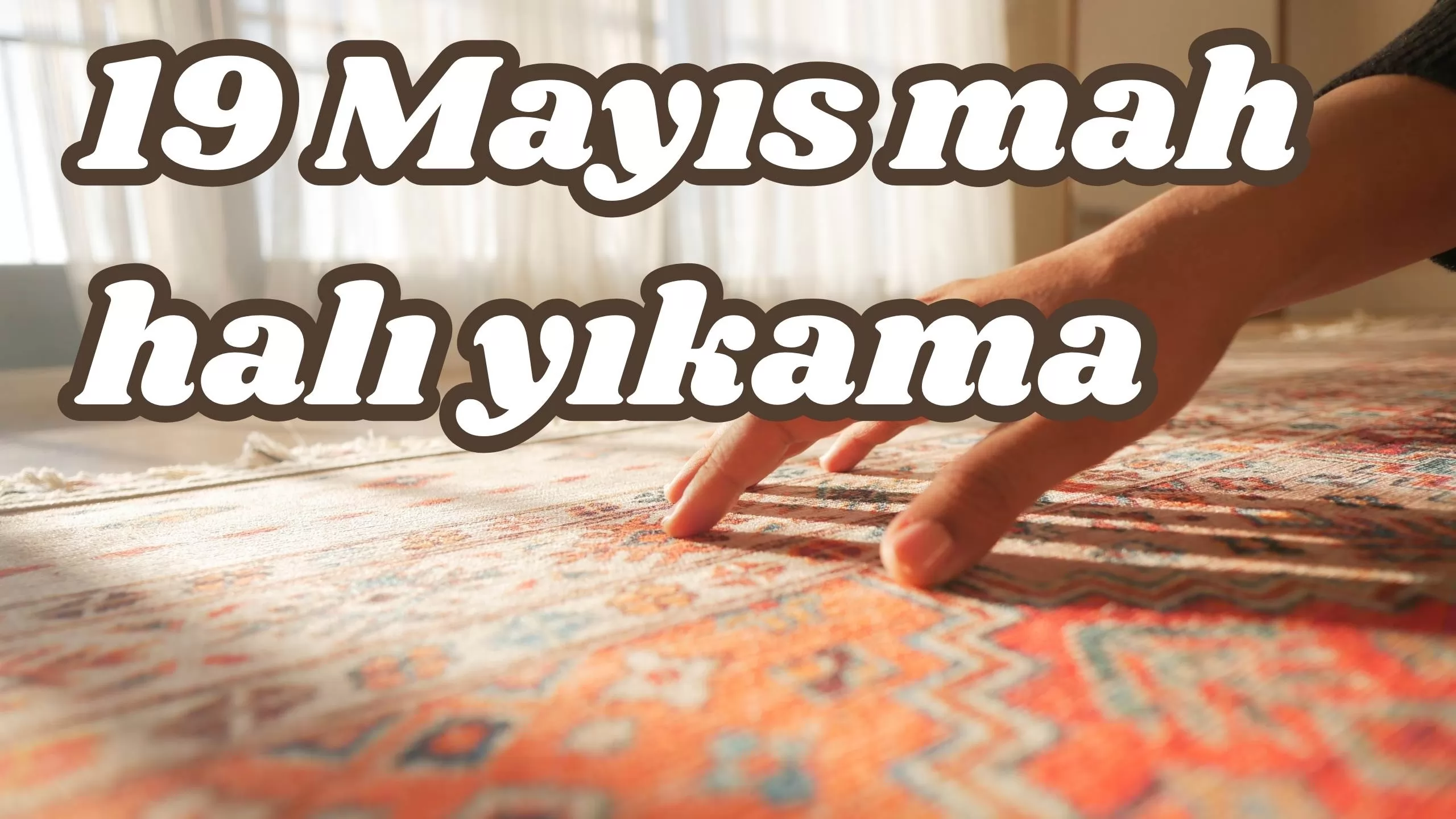 19 Mayıs mah halı yıkama